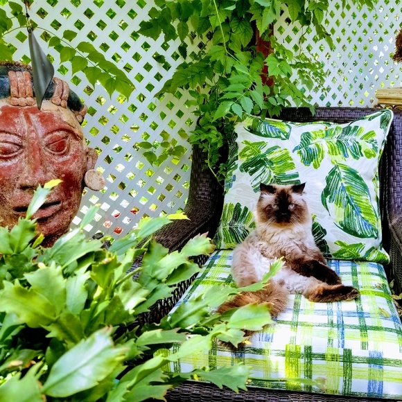 Meet your Posher, Paris - Picture 5 of 7